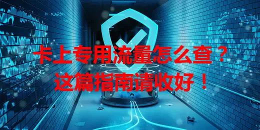 卡上专用流量怎么查？这篇指南请收好！