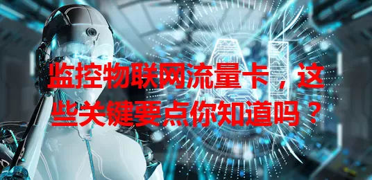 监控物联网流量卡，这些关键要点你知道吗？