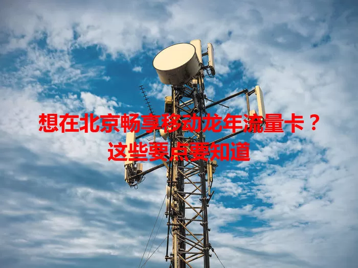 想在北京畅享移动龙年流量卡？这些要点要知道