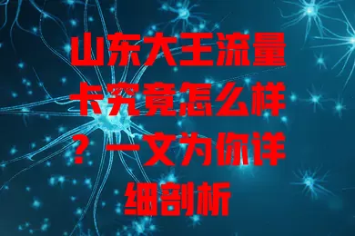 山东大王流量卡究竟怎么样？一文为你详细剖析