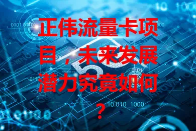 正伟流量卡项目，未来发展潜力究竟如何？