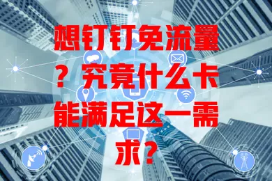 想钉钉免流量？究竟什么卡能满足这一需求？