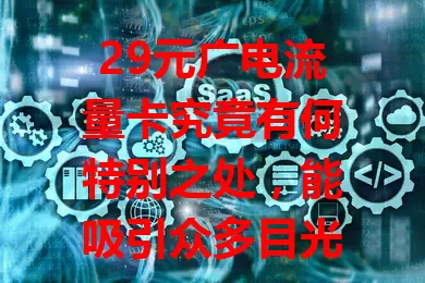 29元广电流量卡究竟有何特别之处，能吸引众多目光？