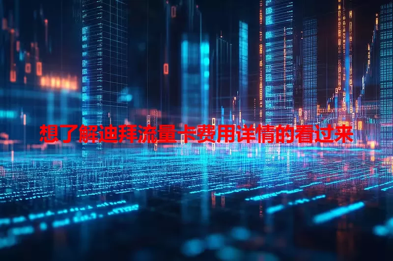 想了解迪拜流量卡费用详情的看过来