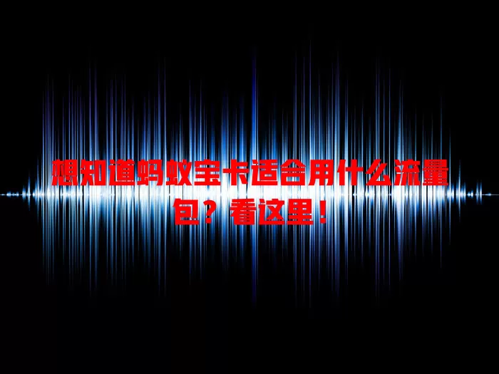 想知道蚂蚁宝卡适合用什么流量包？看这里！