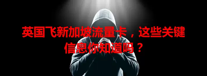 英国飞新加坡流量卡，这些关键信息你知道吗？