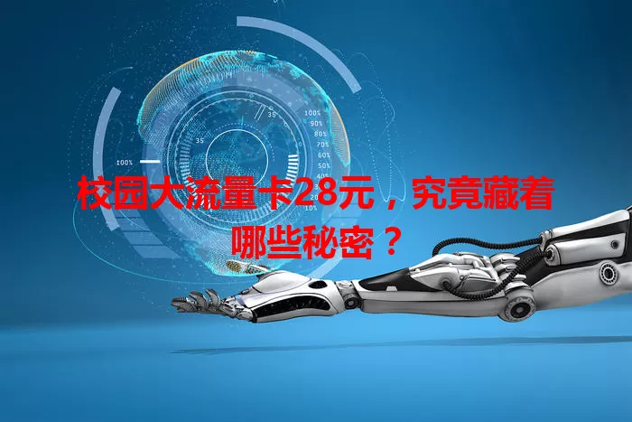校园大流量卡28元，究竟藏着哪些秘密？