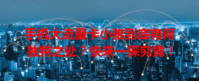 手机大流量卡小雅到底有何独特之处？快来一探究竟！