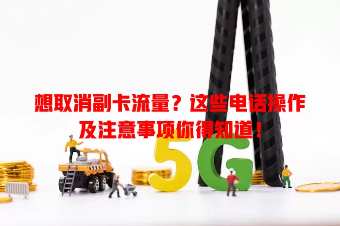 想取消副卡流量？这些电话操作及注意事项你得知道！
