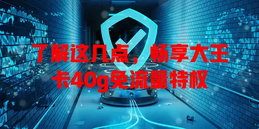 了解这几点，畅享大王卡40g免流量特权