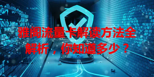 雅阁流量卡解读方法全解析，你知道多少？