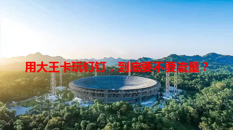 用大王卡玩钉钉，到底要不要流量？