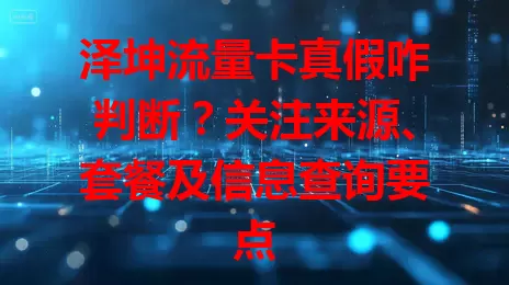 泽坤流量卡真假咋判断？关注来源、套餐及信息查询要点