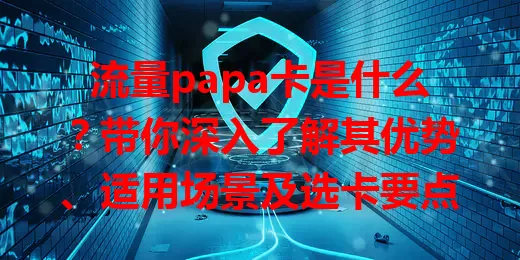 流量papa卡是什么？带你深入了解其优势、适用场景及选卡要点