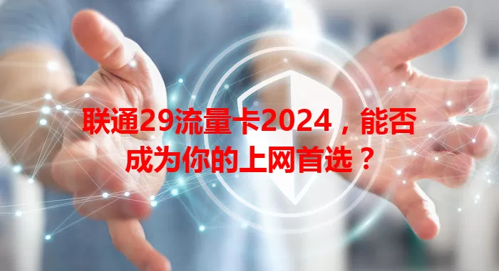 联通29流量卡2024，能否成为你的上网首选？