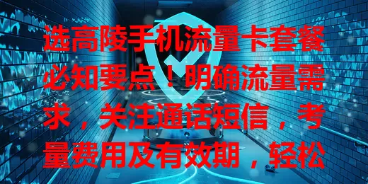 选高陵手机流量卡套餐必知要点！明确流量需求，关注通话短信，考量费用及有效期，轻松挑到适合的，畅享畅快流量