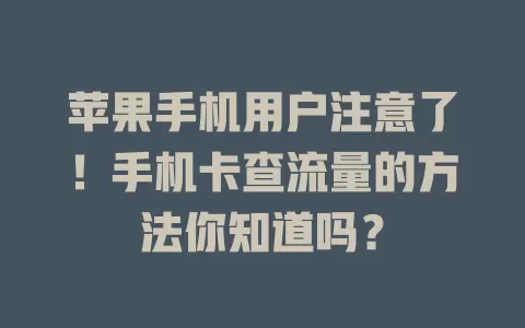 苹果手机用户注意了！手机卡查流量的方法你知道吗？