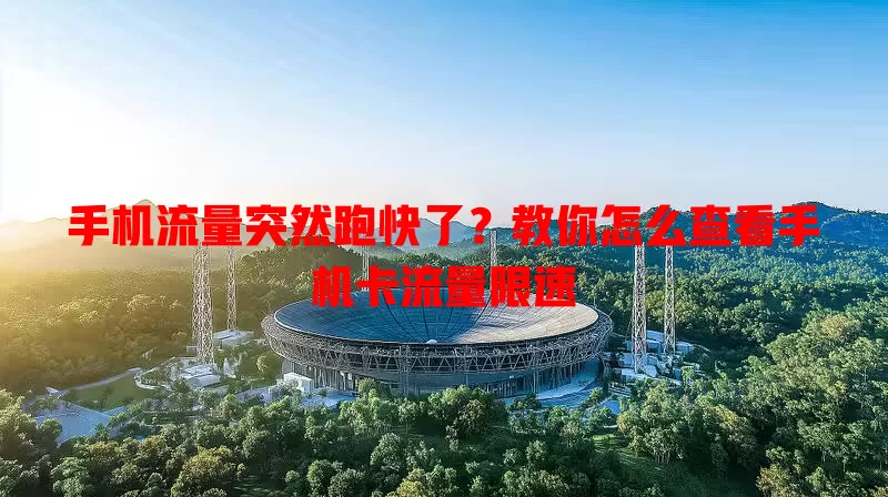 手机流量突然跑快了？教你怎么查看手机卡流量限速