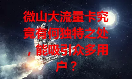 微山大流量卡究竟有何独特之处，能吸引众多用户？
