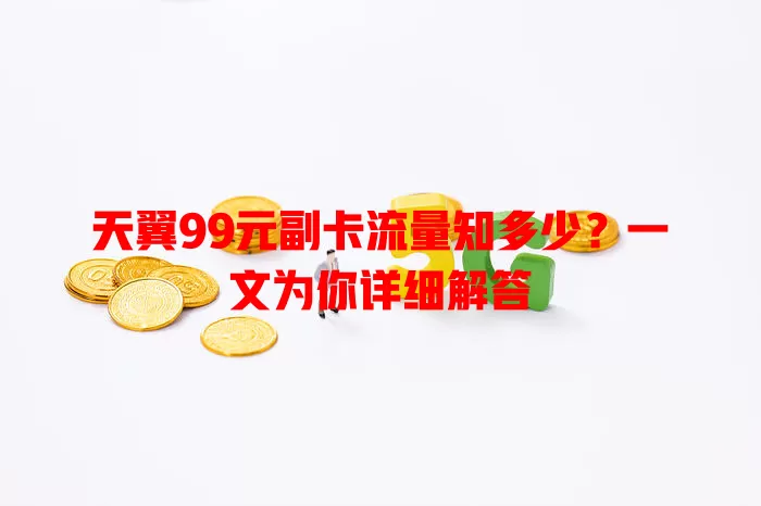 天翼99元副卡流量知多少？一文为你详细解答