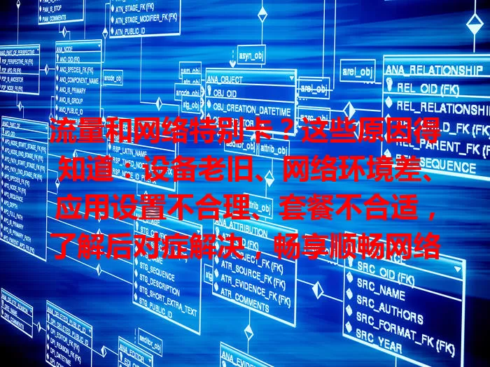 流量和网络特别卡？这些原因得知道：设备老旧、网络环境差、应用设置不合理、套餐不合适，了解后对症解决，畅享顺畅网络