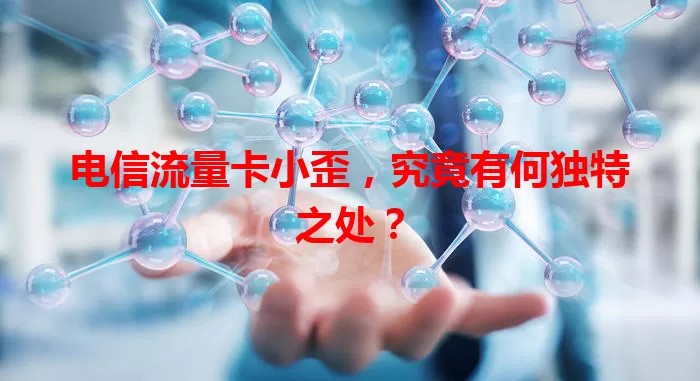 电信流量卡小歪，究竟有何独特之处？