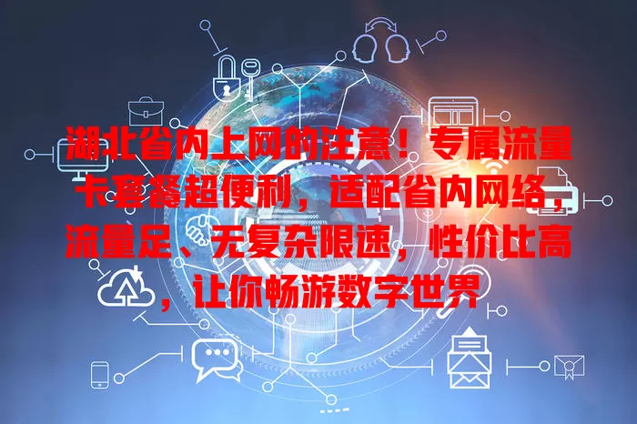 湖北省内上网的注意！专属流量卡套餐超便利，适配省内网络，流量足、无复杂限速，性价比高，让你畅游数字世界
