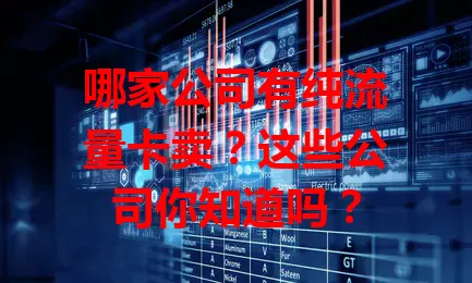 哪家公司有纯流量卡卖？这些公司你知道吗？