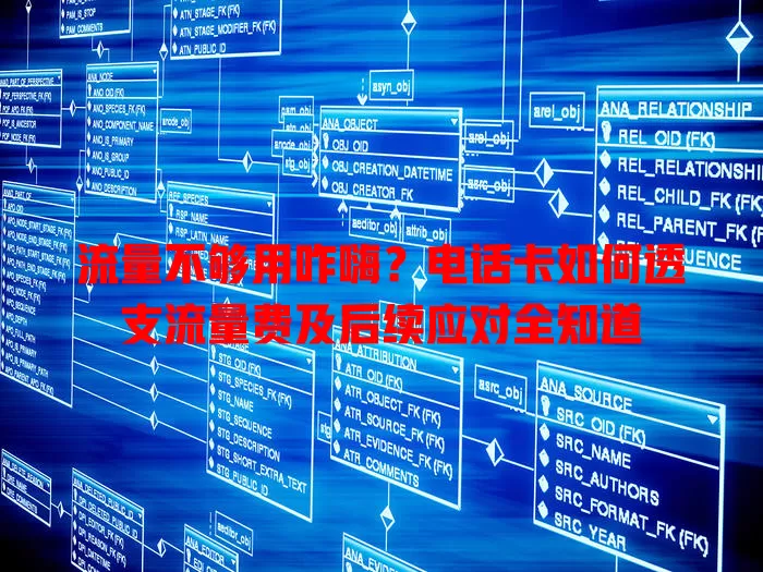流量不够用咋嗨？电话卡如何透支流量费及后续应对全知道