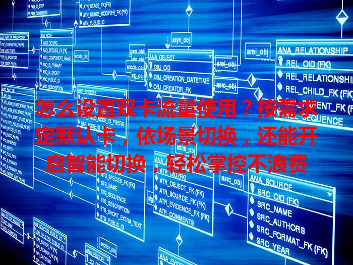 怎么设置双卡流量使用？按需求定默认卡，依场景切换，还能开启智能切换，轻松掌控不浪费