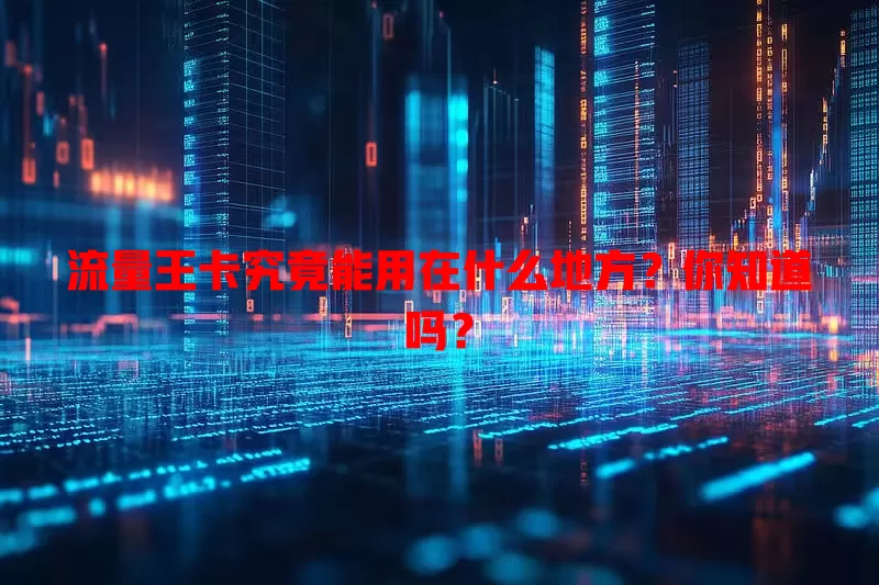 流量王卡究竟能用在什么地方？你知道吗？