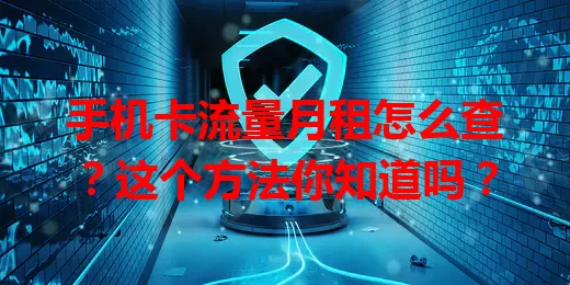 手机卡流量月租怎么查？这个方法你知道吗？