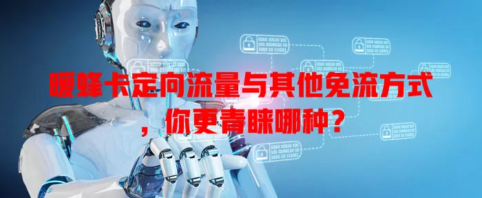 暖蜂卡定向流量与其他免流方式，你更青睐哪种？
