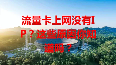 流量卡上网没有IP？这些原因你知道吗？