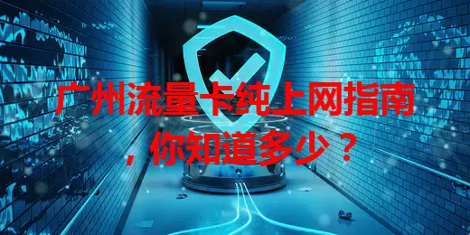 广州流量卡纯上网指南，你知道多少？