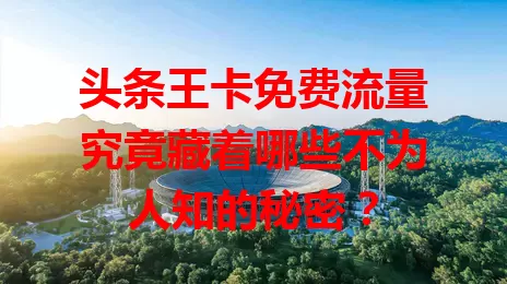 头条王卡免费流量究竟藏着哪些不为人知的秘密？