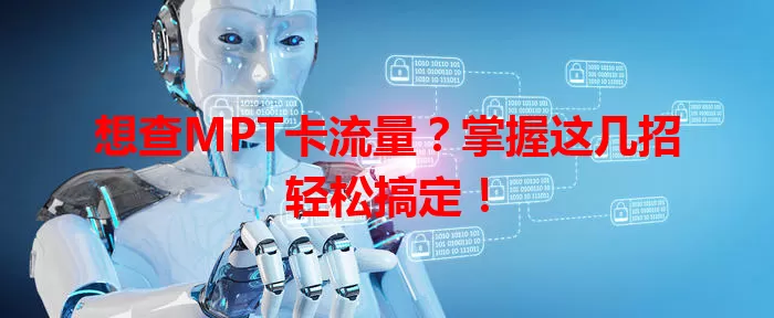 想查MPT卡流量？掌握这几招轻松搞定！