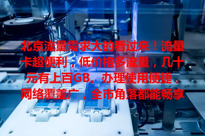 北京流量需求大的看过来！流量卡超便利，低价格多流量，几十元有上百GB。办理使用便捷，网络覆盖广，全市角落都能畅享稳定网络，满足多样需求，是网络生活好伴侣！