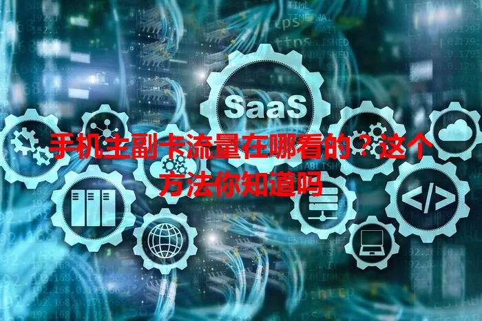 手机主副卡流量在哪看的？这个方法你知道吗