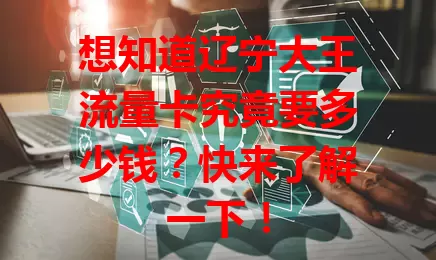 想知道辽宁大王流量卡究竟要多少钱？快来了解一下！