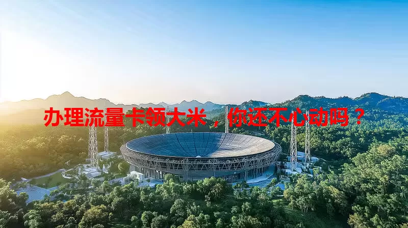 办理流量卡领大米，你还不心动吗？