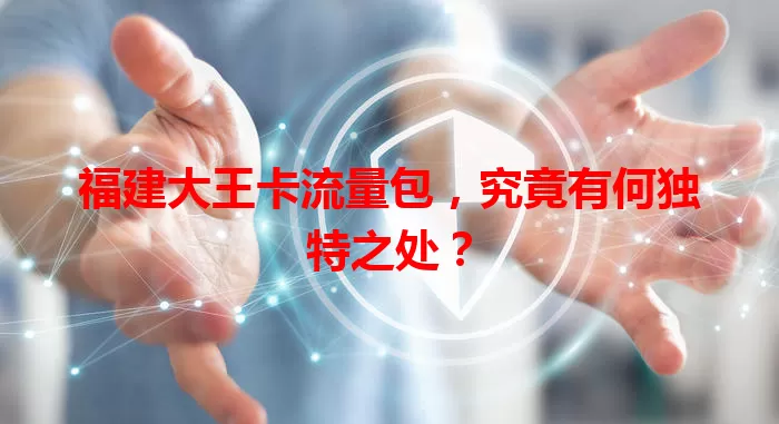 福建大王卡流量包，究竟有何独特之处？