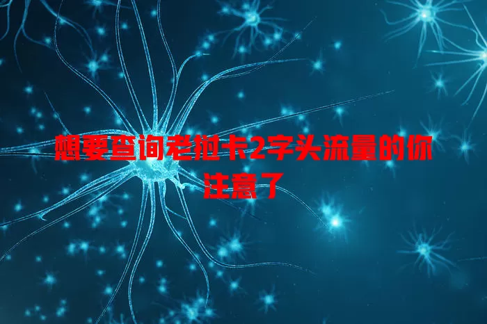 想要查询老挝卡2字头流量的你注意了