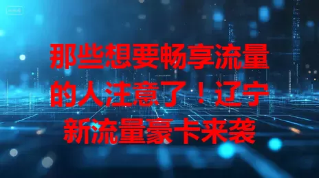 那些想要畅享流量的人注意了！辽宁新流量豪卡来袭