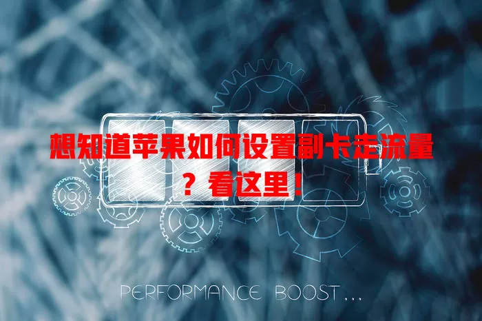 想知道苹果如何设置副卡走流量？看这里！