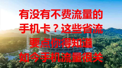 有没有不费流量的手机卡？这些省流要点你得知道

如今手机流量很关键，流量费却常让人头疼。虽没完全不费流量的卡，但选套餐依习惯、合理设网络、用智能流量管理，能降流量消耗，让上网体验更畅快 。