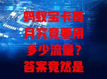 蚂蚁宝卡每月究竟要用多少流量？答案竟然是……