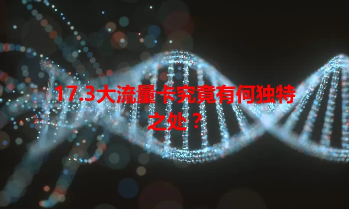 17.3大流量卡究竟有何独特之处？