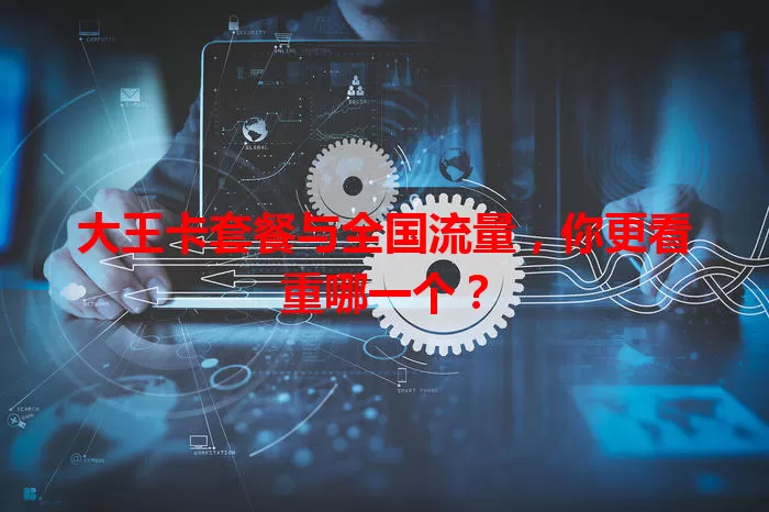 大王卡套餐与全国流量，你更看重哪一个？