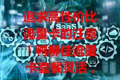 追求高性价比流量卡的注意！鸭柳佳流量卡套餐灵活，网络覆盖广，费用亲民，售后优，能满足多样需求，带来全新上网体验，值得考虑！